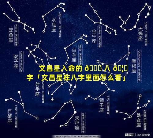 文昌星入命的 💐 八 🦈 字「文昌星在八字里面怎么看」